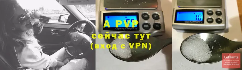 A PVP СК  Рязань 